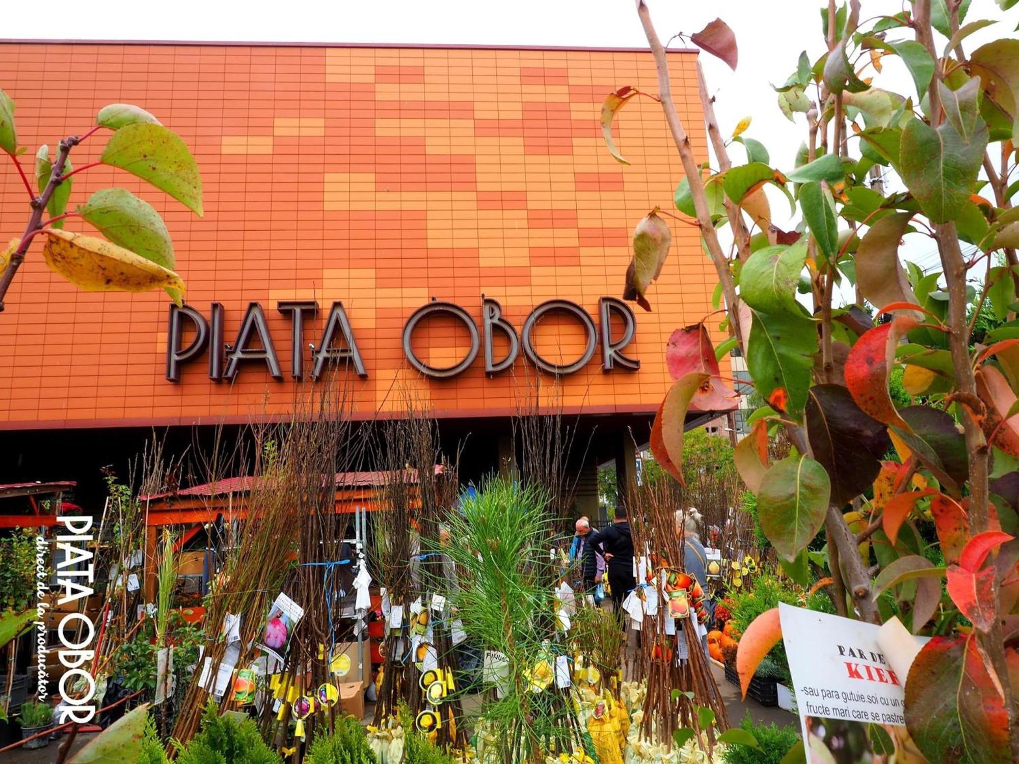 Cozy City Retreat, Obor Market & Metro Bucharest Luaran gambar